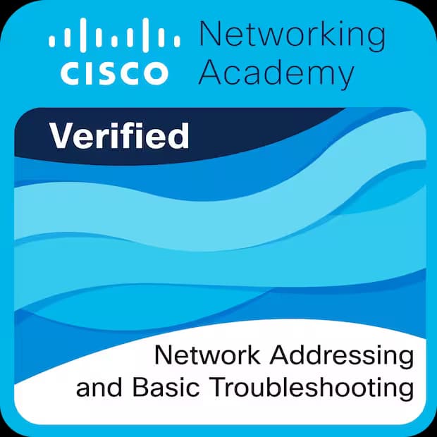 Network Addressing & Basic Troubleshooting